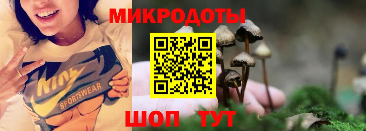 Великие Луки  Галлюциногенные грибы GOLDEN TEACHER  Вход с VPN 